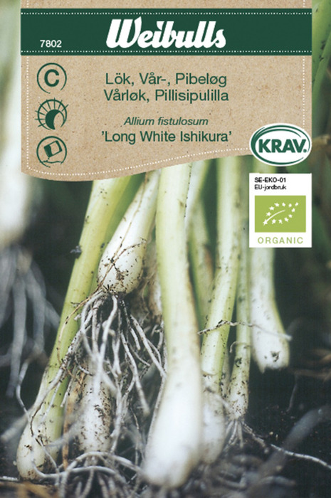 Frö Vårlök 'White Ishikura' KRAV Weibulls